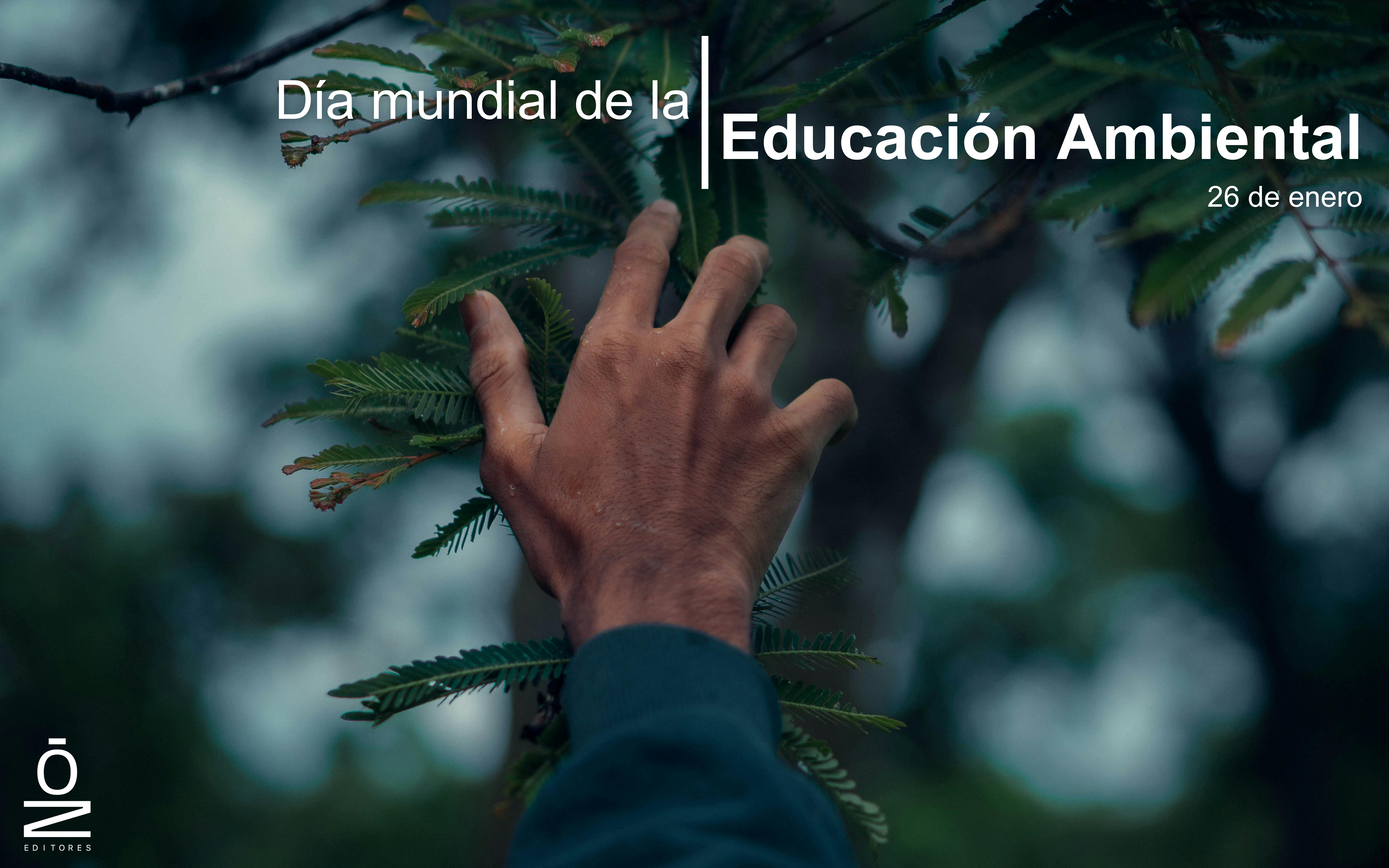 DÍa Mundial De La EducaciÓn Ambiental El Impacto Ambiental Del Libro