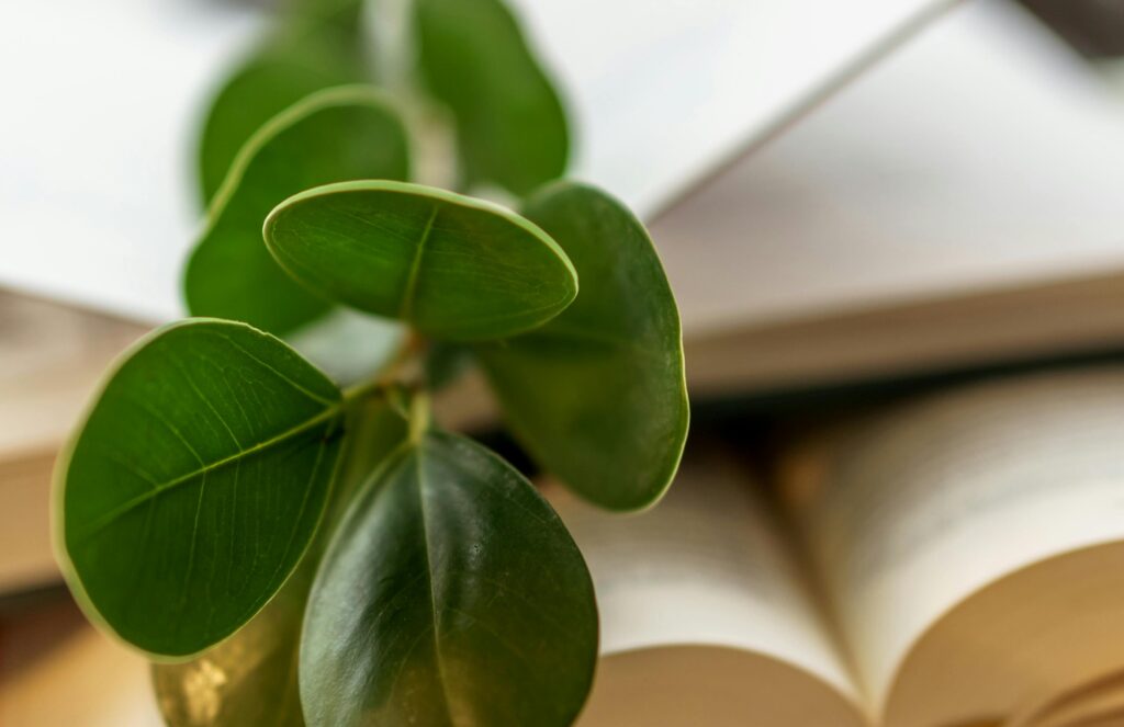 libros y medioambiente